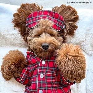 Lucy & Co Holiday Plaid PJ’s